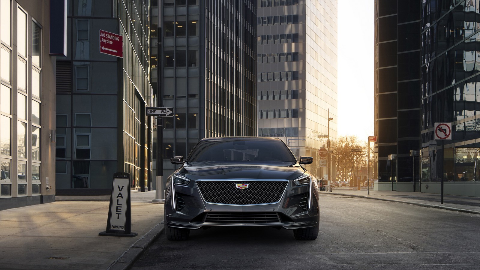 2019 CT6 V-Sport