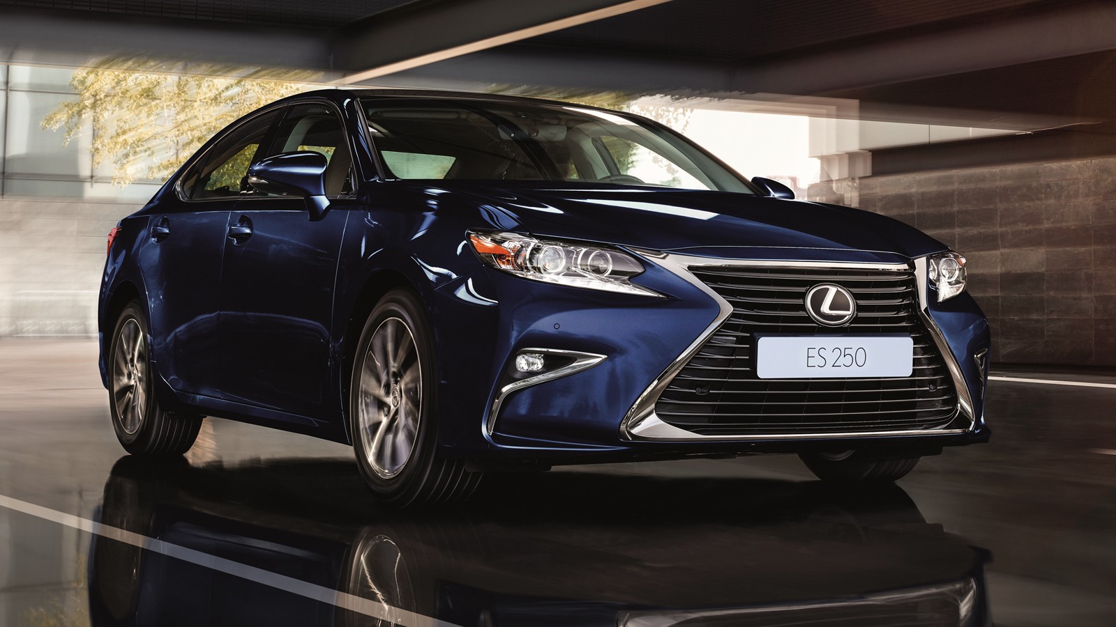 На фото: Lexus ES