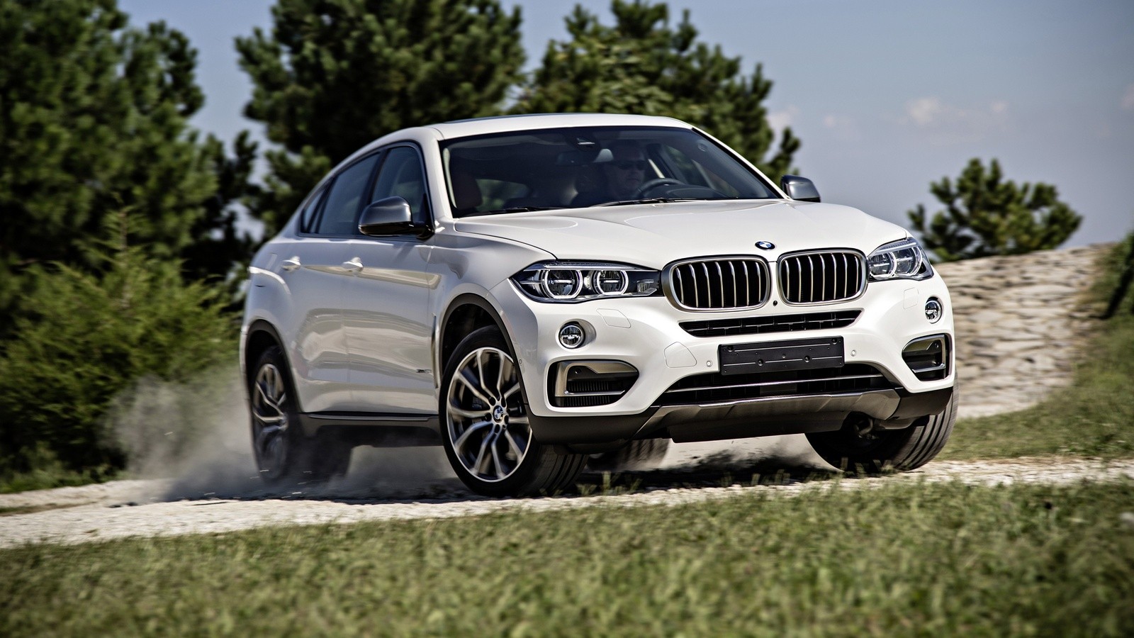 На фото: BMW X6 '2014–н.в.