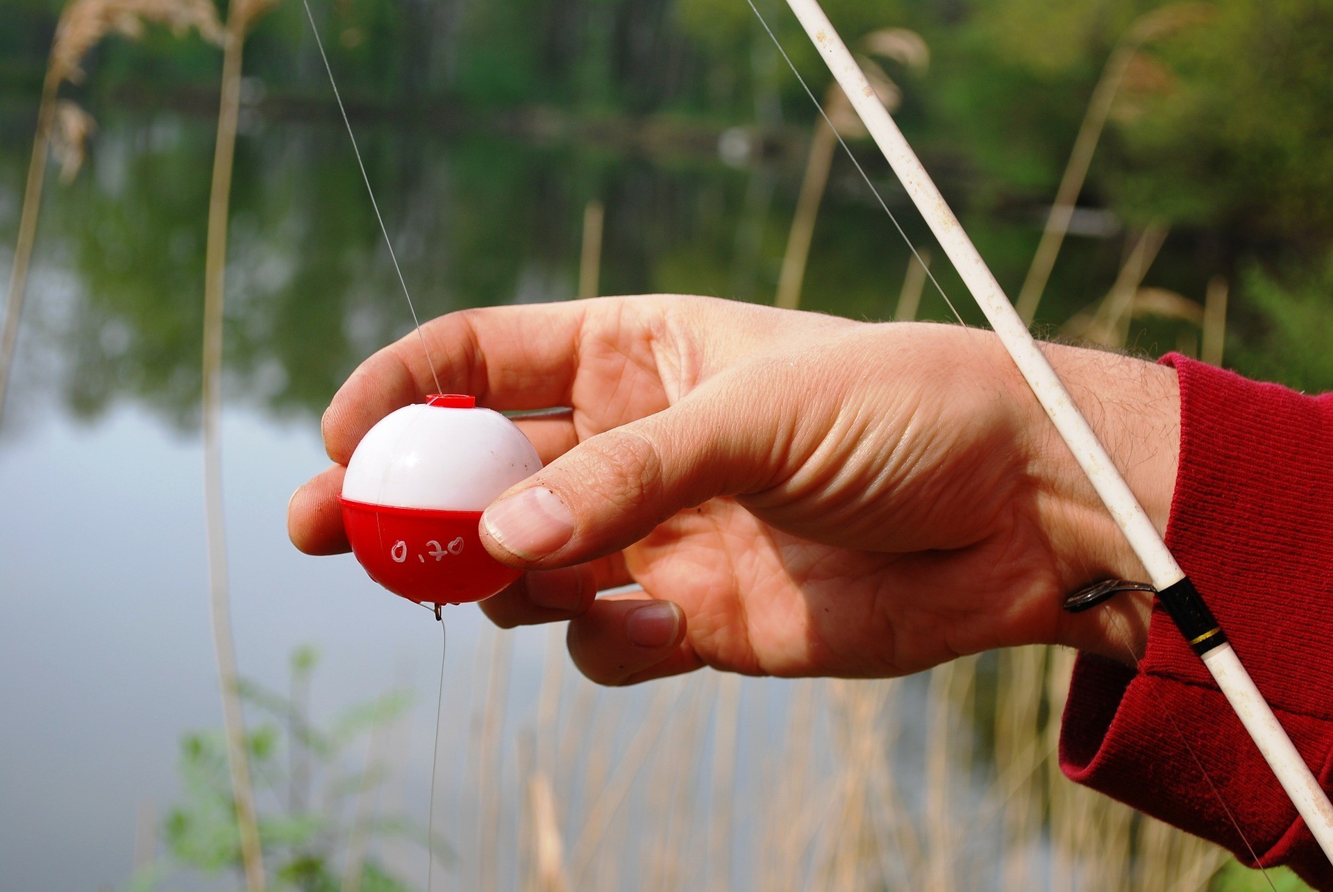 fishing-pole-332456_1920