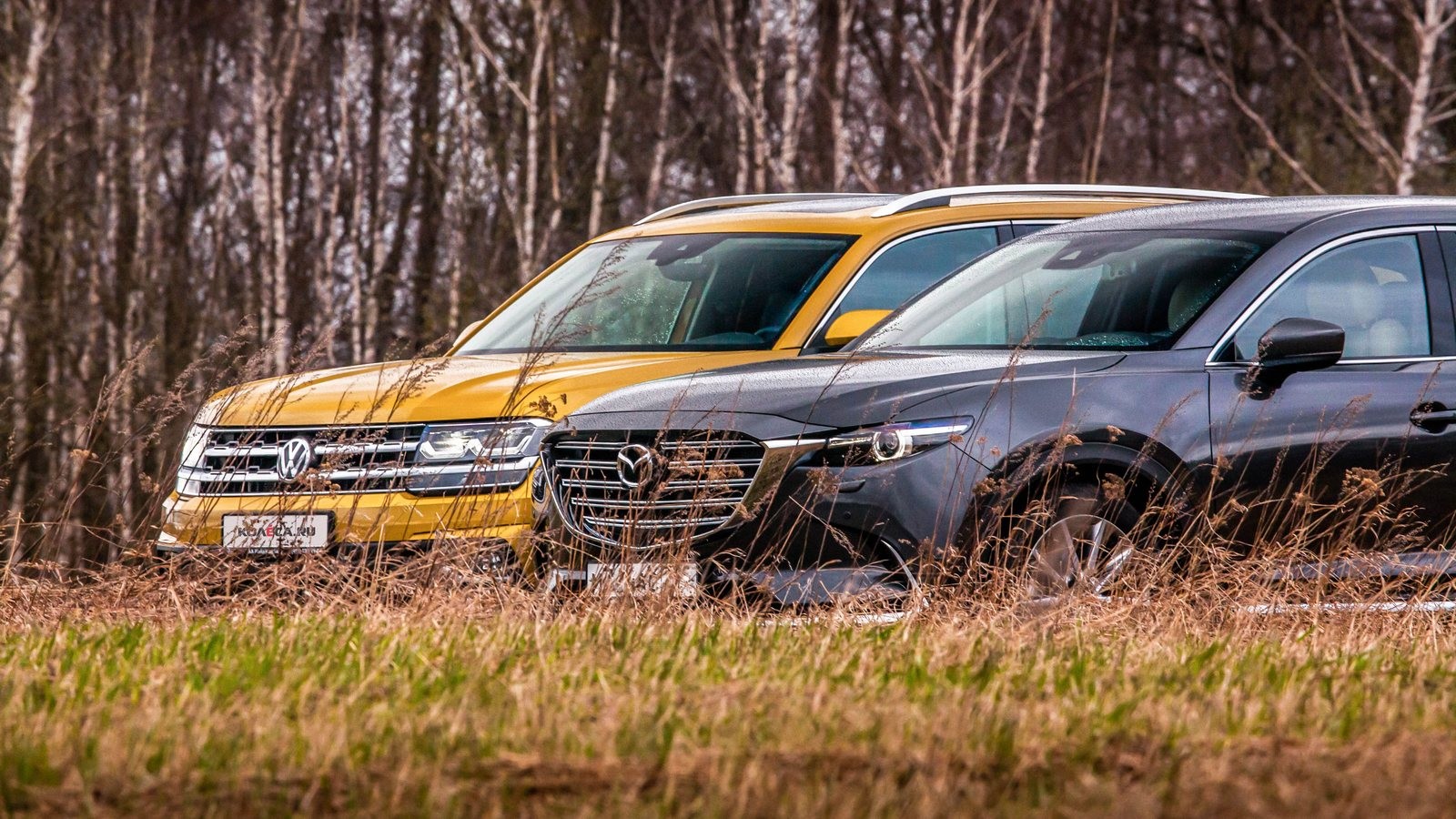 Mazda CX-9 и Volkswagen Teramont вид спереди