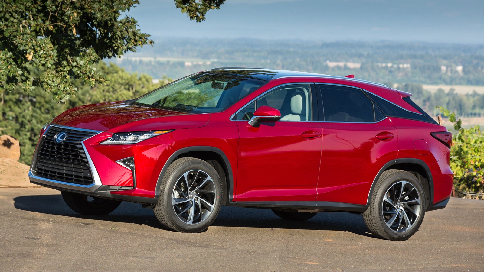 На фото: Lexus RX