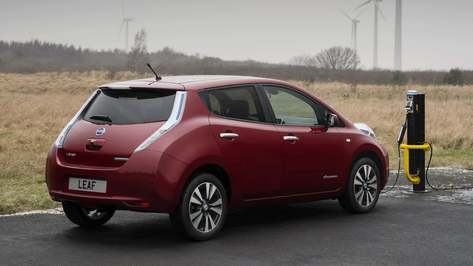 Nissan Leaf Worldwide '2013–17