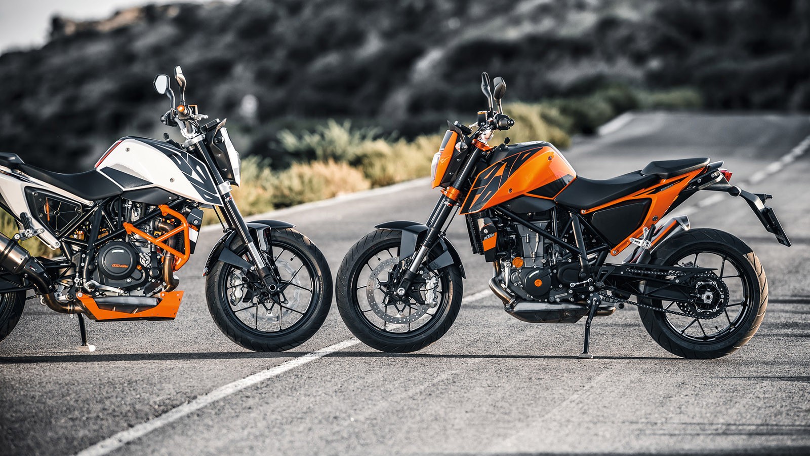 Ktm duke фото