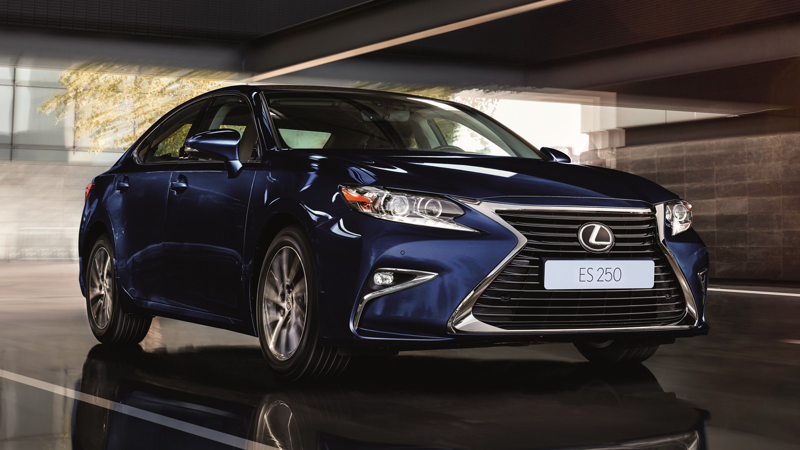 На фото: Lexus ES