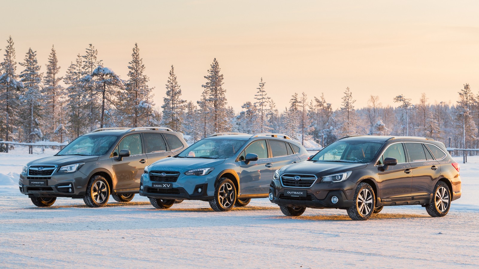 subaru_forester_429