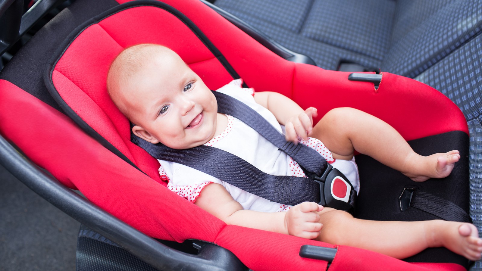 baby seats in the car seat