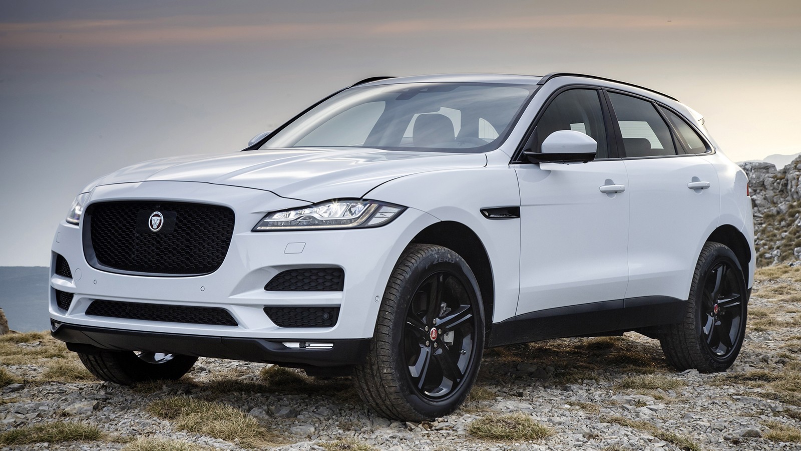 jaguar_f-pace_portfolio_25