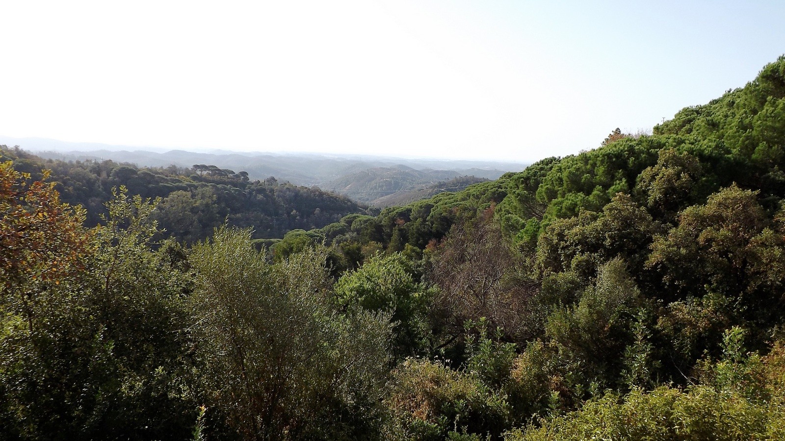 Portugal_304
