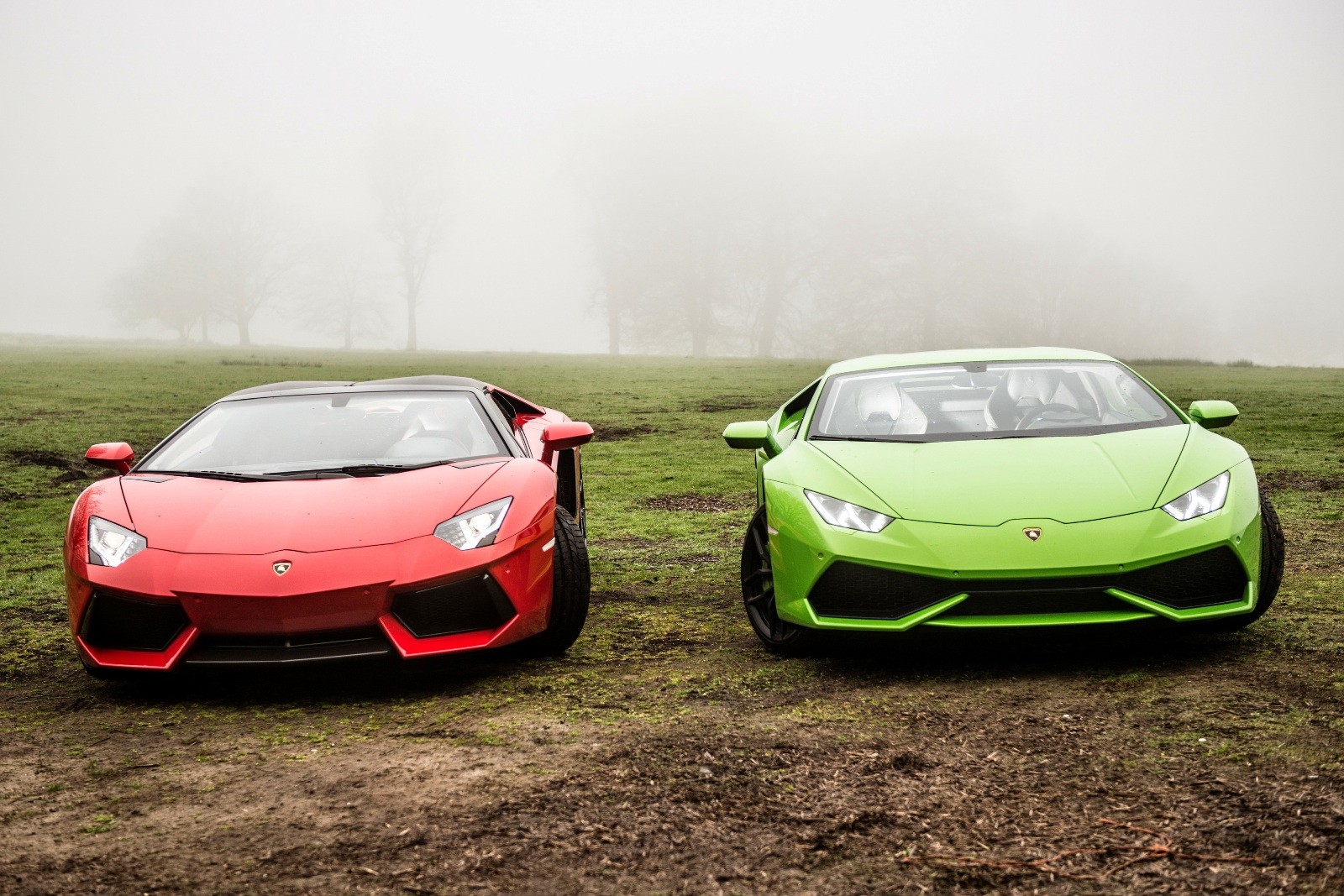 lamborghini_mixed_3