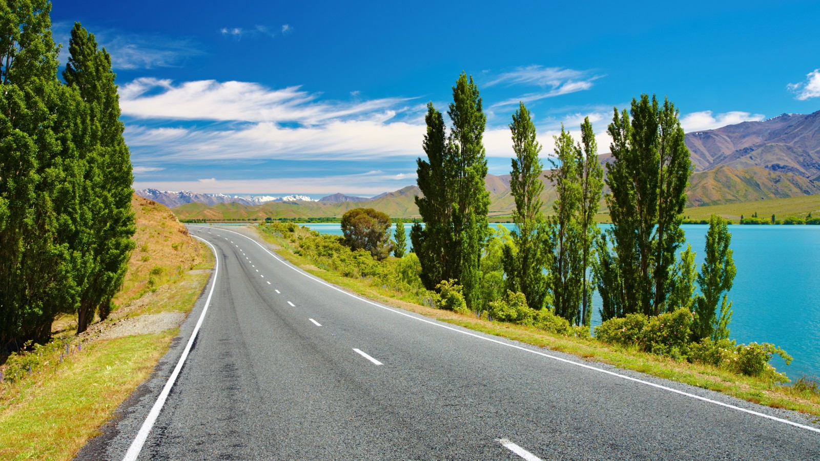 New Zealand landscape