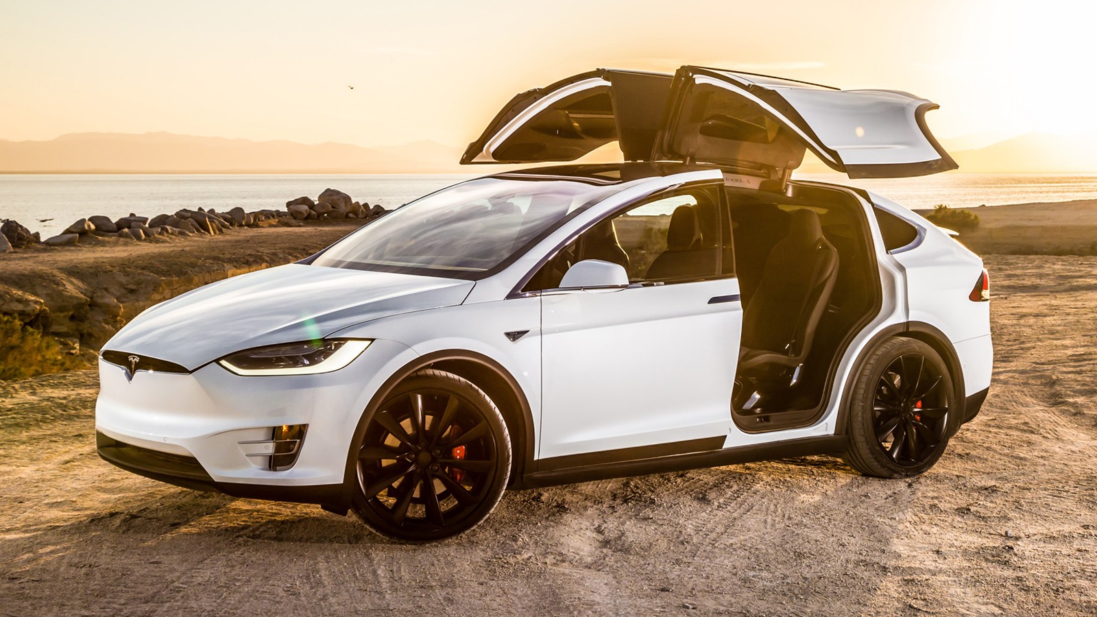 На фото: Tesla Model X
