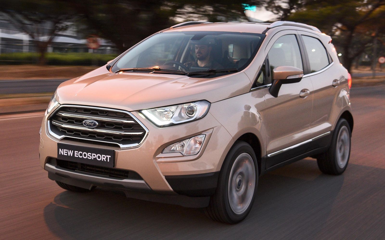 Провалившийся на многих рынках субкомпактный паркетник EcoSport стал самой продаваемой моделью Ford в Индии: ежемесячно продается порядка пяти тысяч экземпляров.