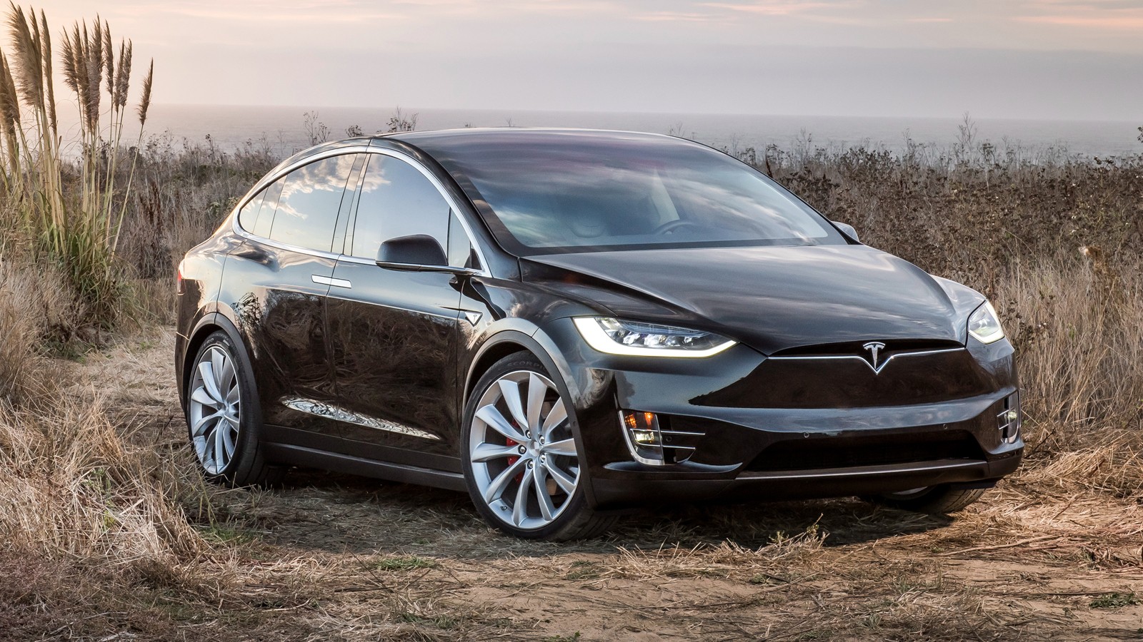 На фото: Tesla Model X