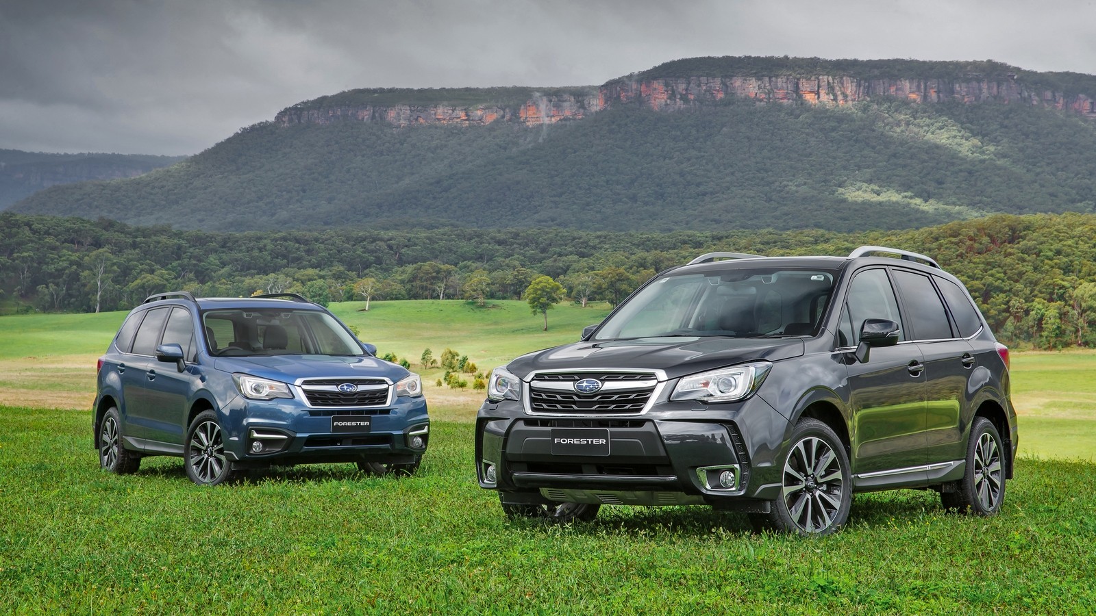 На фото: Subaru Forester '2012–н.в.
