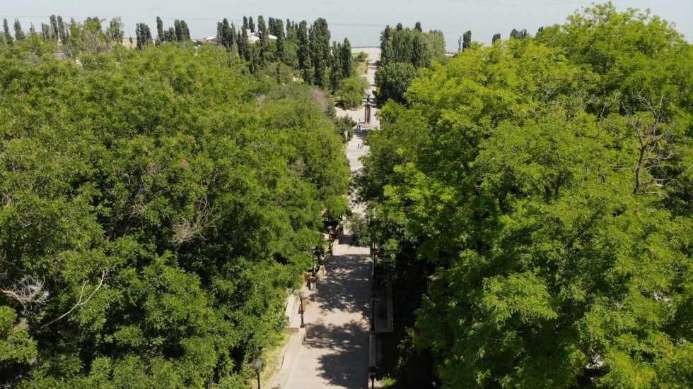 created by dji camera