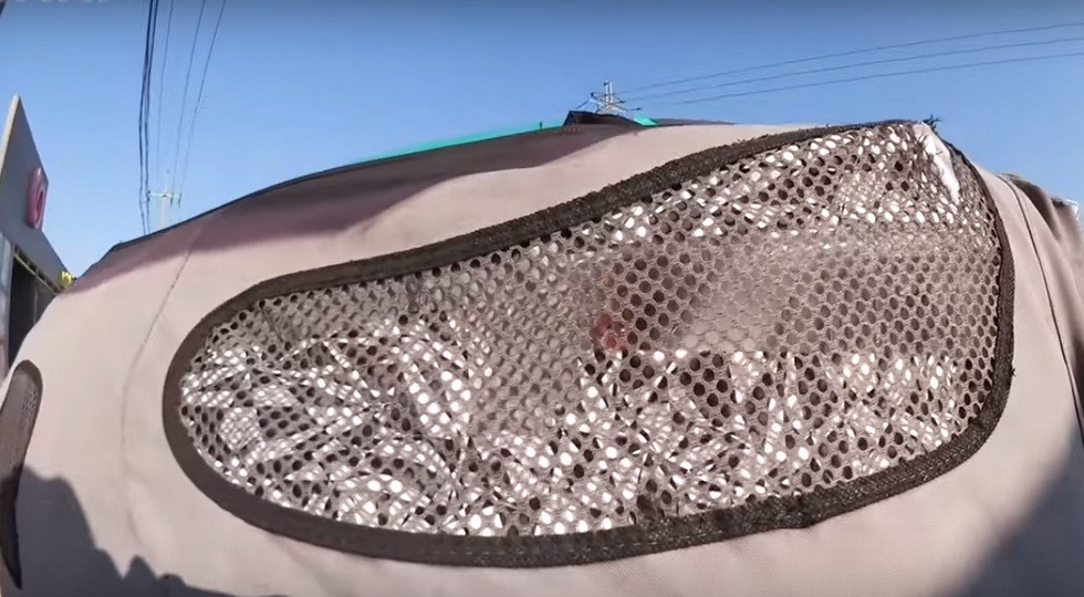 SsangYong ещё раз обновит Rexton. Предыдущий рестайлинг не помог, внедорожник в «минусе»