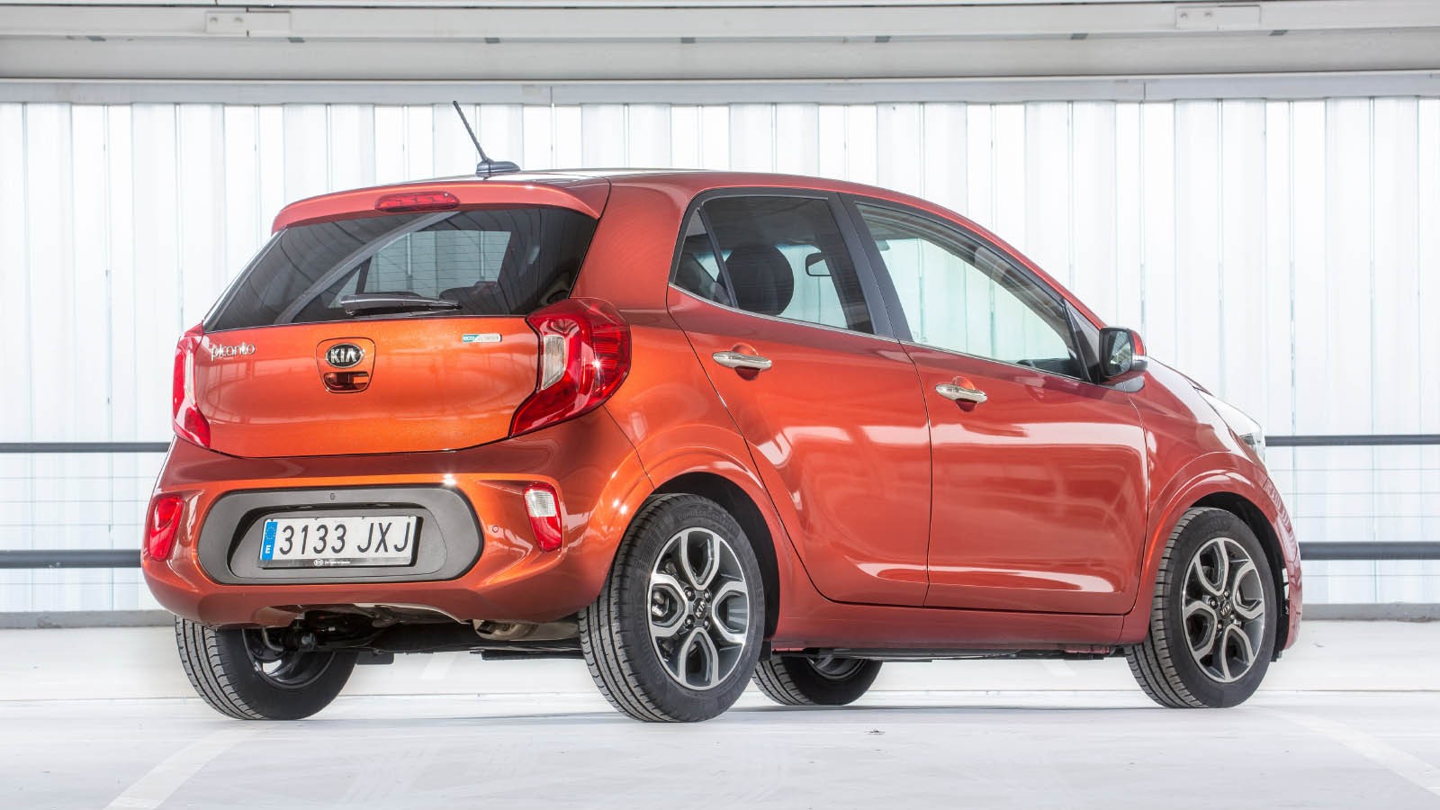 vopreki stereotipam samye malenkie