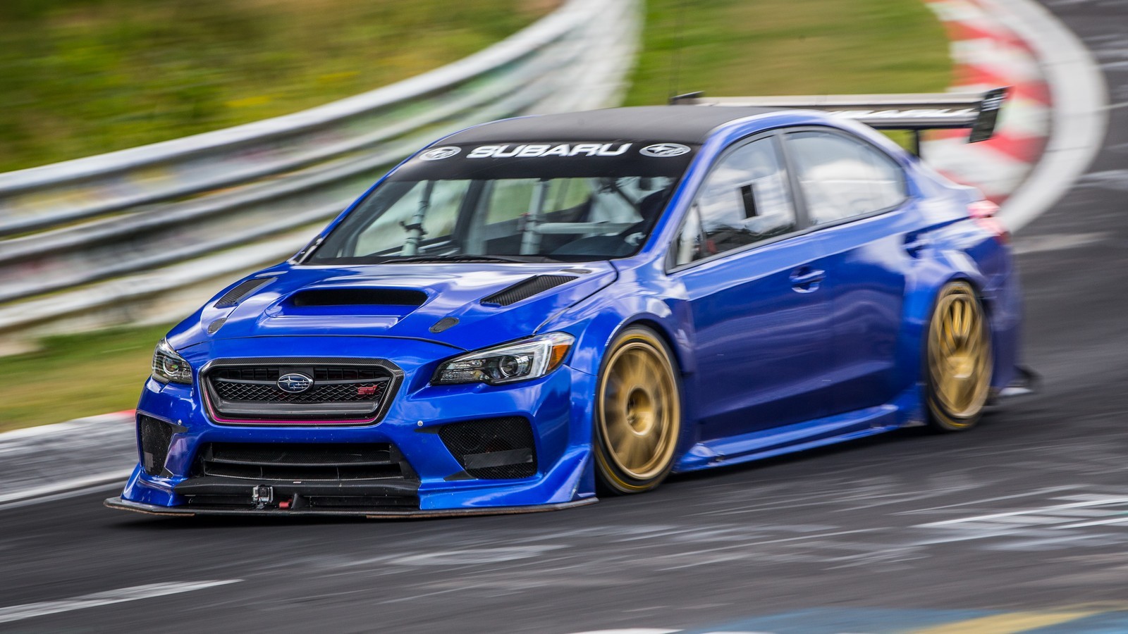 NBR1_cr