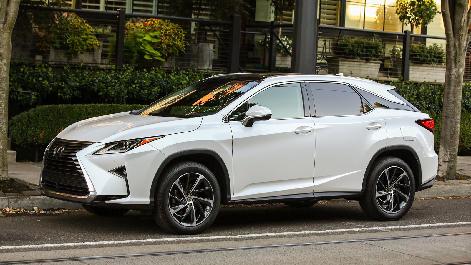 На фото: Lexus RX