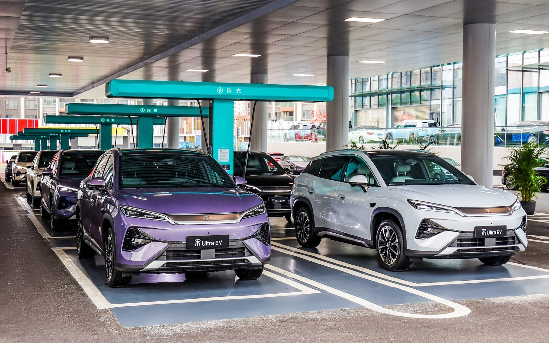 Компания BYD стала резко сдавать позиции в Китае и ищет спасение в экспорте