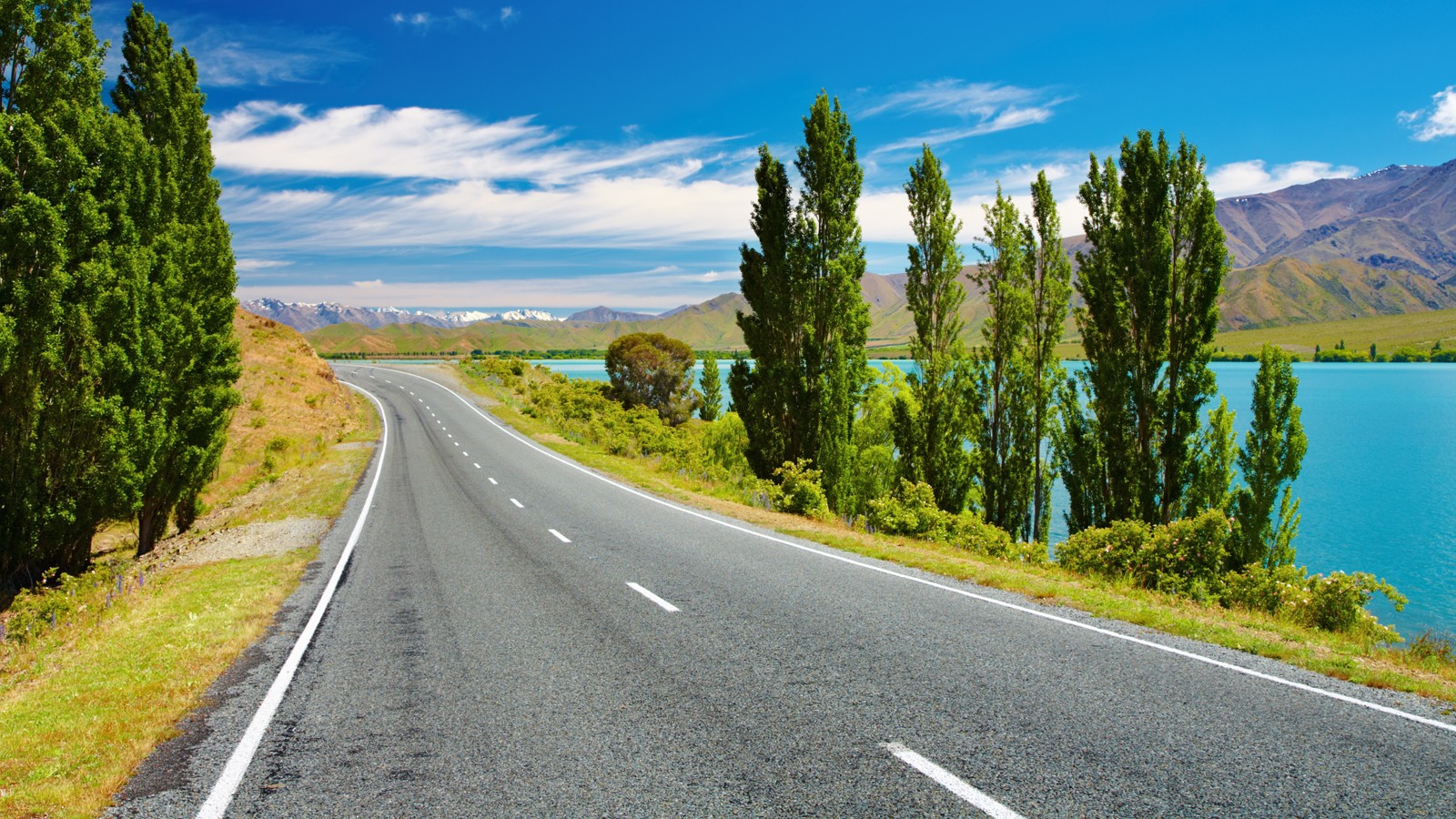 New Zealand landscape