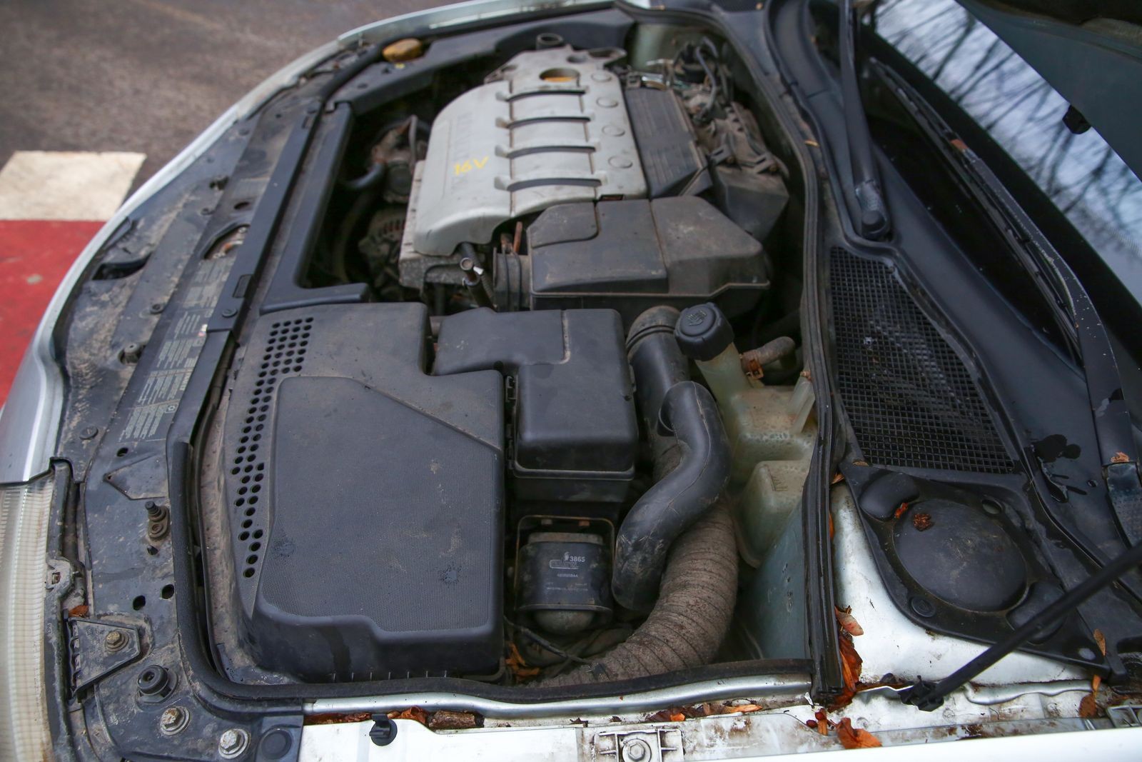 Типичные проблемы и надежность Renault Laguna II: отзывы владельцев