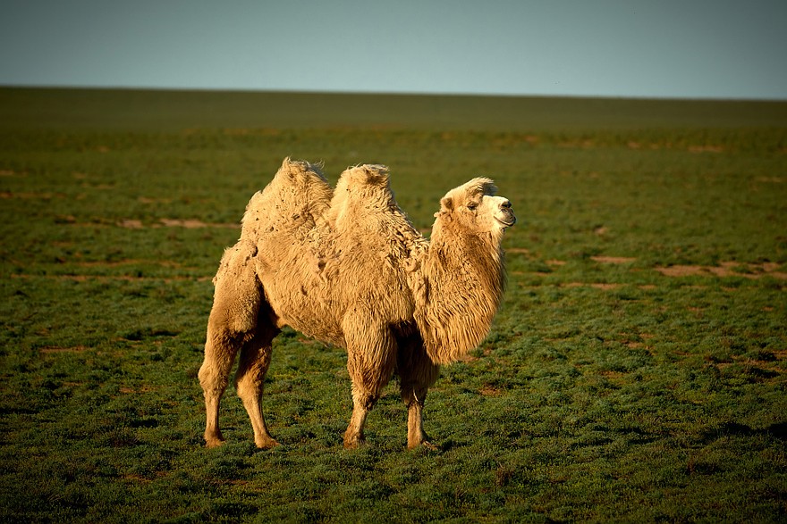 Фото: Макс Морозов