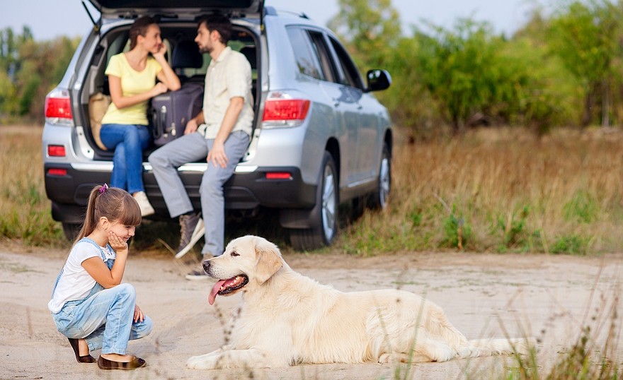 Cute family and pet are resting near vehicle outdoors
