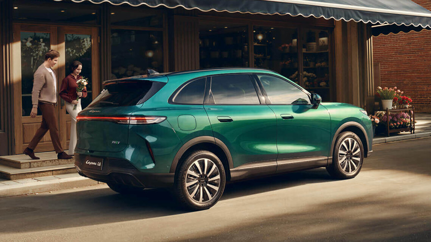 На фото: Lepas L8