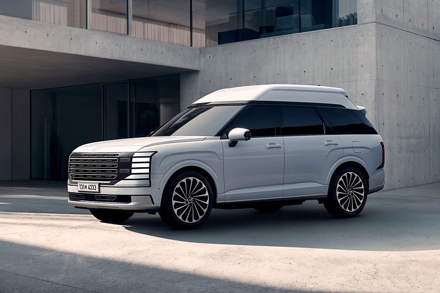 Hyundai Palisade High Roof