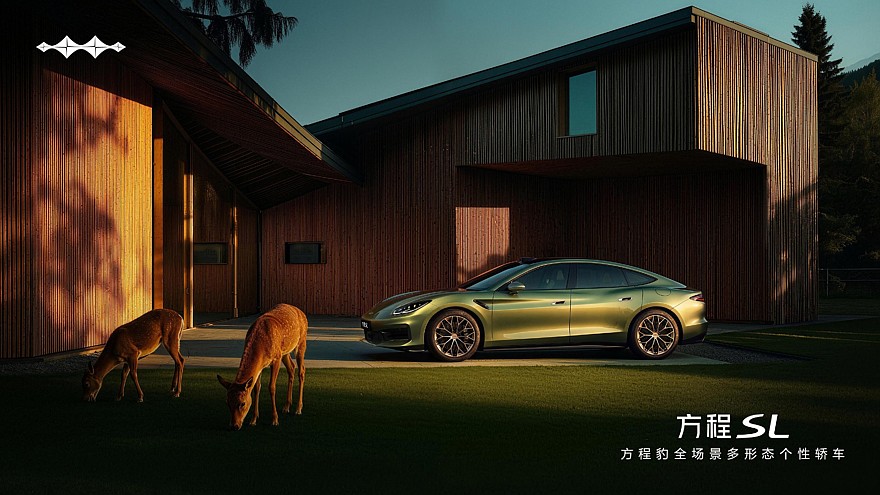 FangChengBao Formula SL