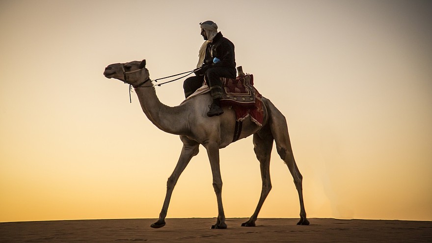 Man with a camel in a desert in Sudan