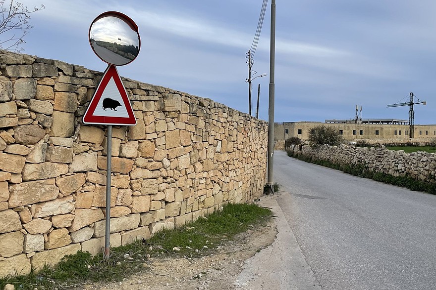Гаражинг, автомобиль выходного дня и классика: как экономят на транспортном налоге на Мальте18