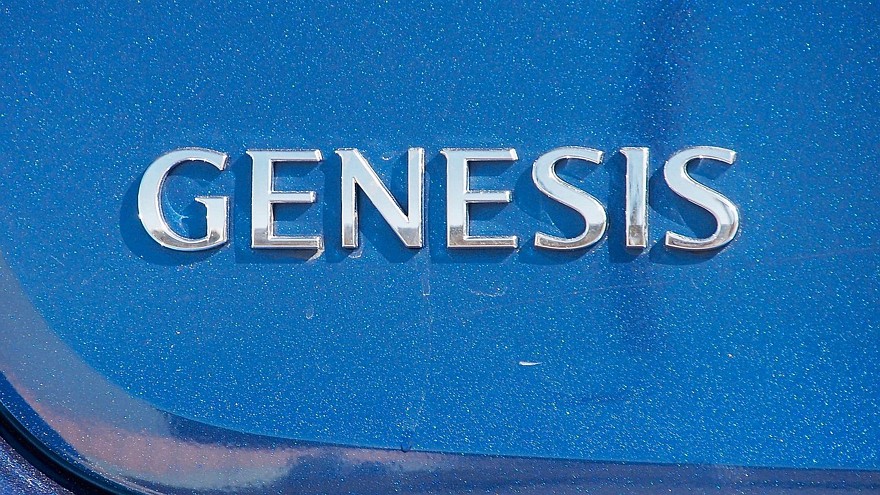 Genesis G80 синий шильдик