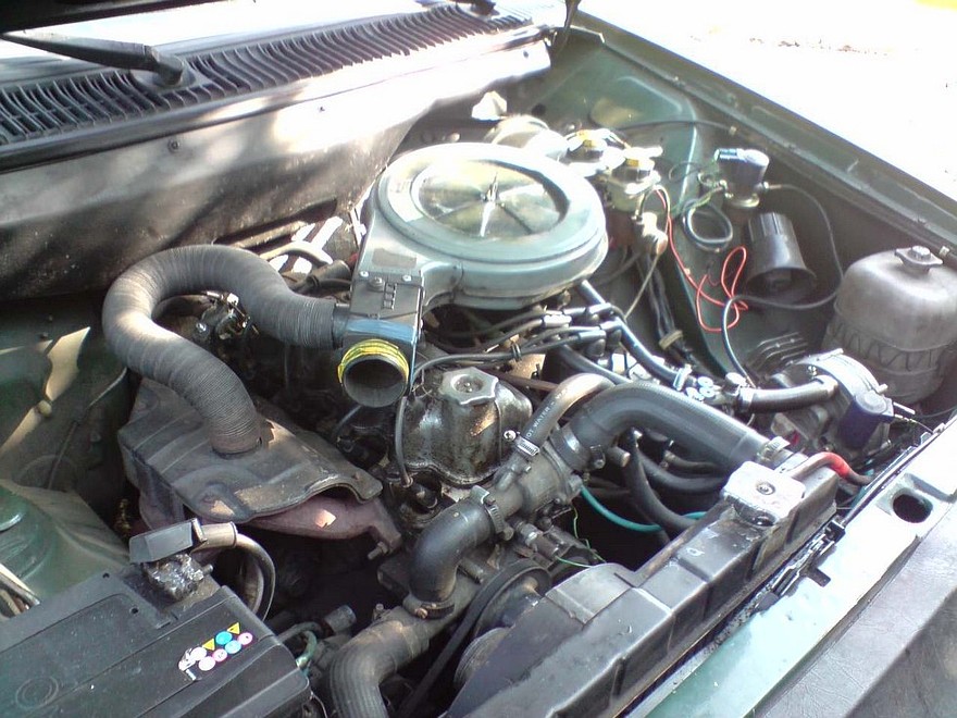 Двигатели Polonez были выполнены по схеме OHV. Большинство версий оказались слабоваты для не самого лёгкого автомобиля.